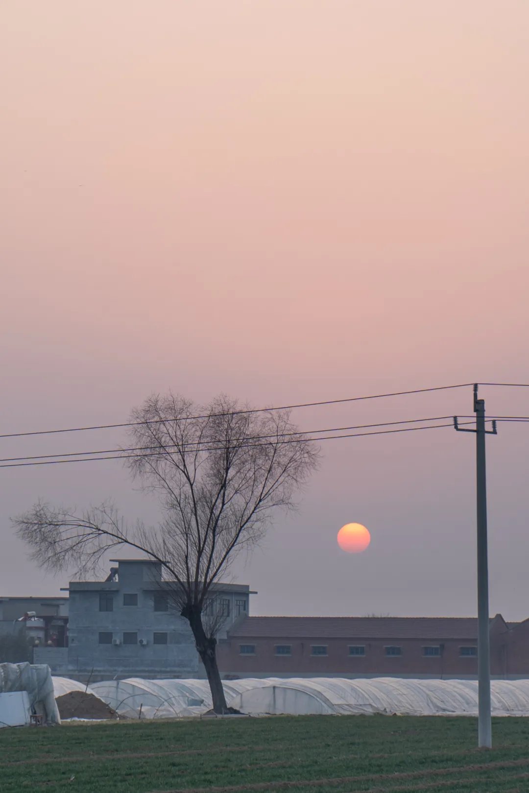 馋哭百万在外河南人,何止一碗胡辣汤