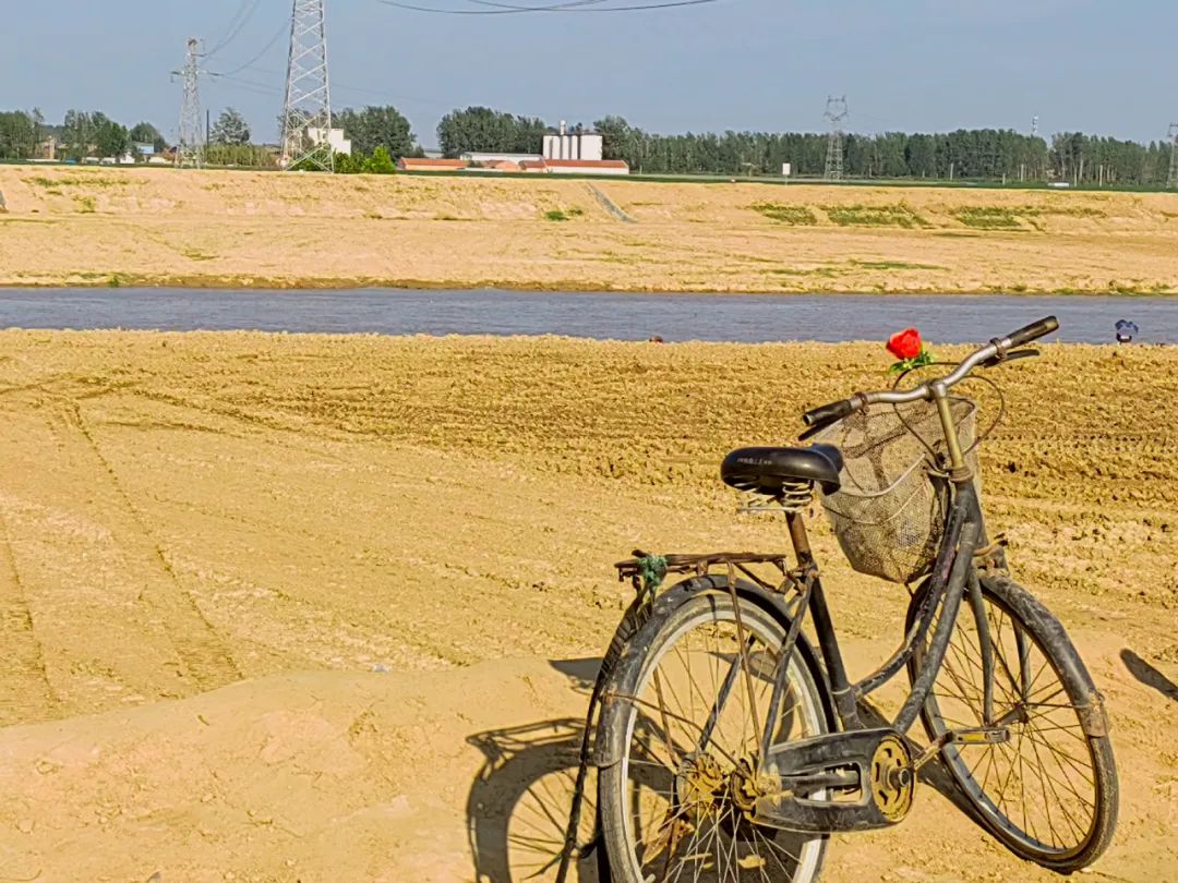 馋哭百万在外河南人,何止一碗胡辣汤