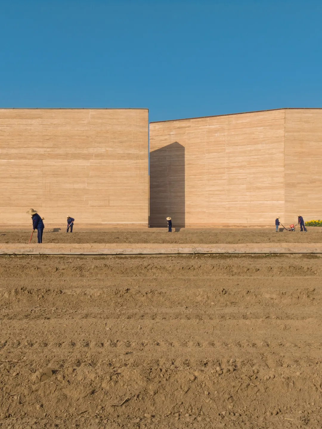 馋哭百万在外河南人,何止一碗胡辣汤