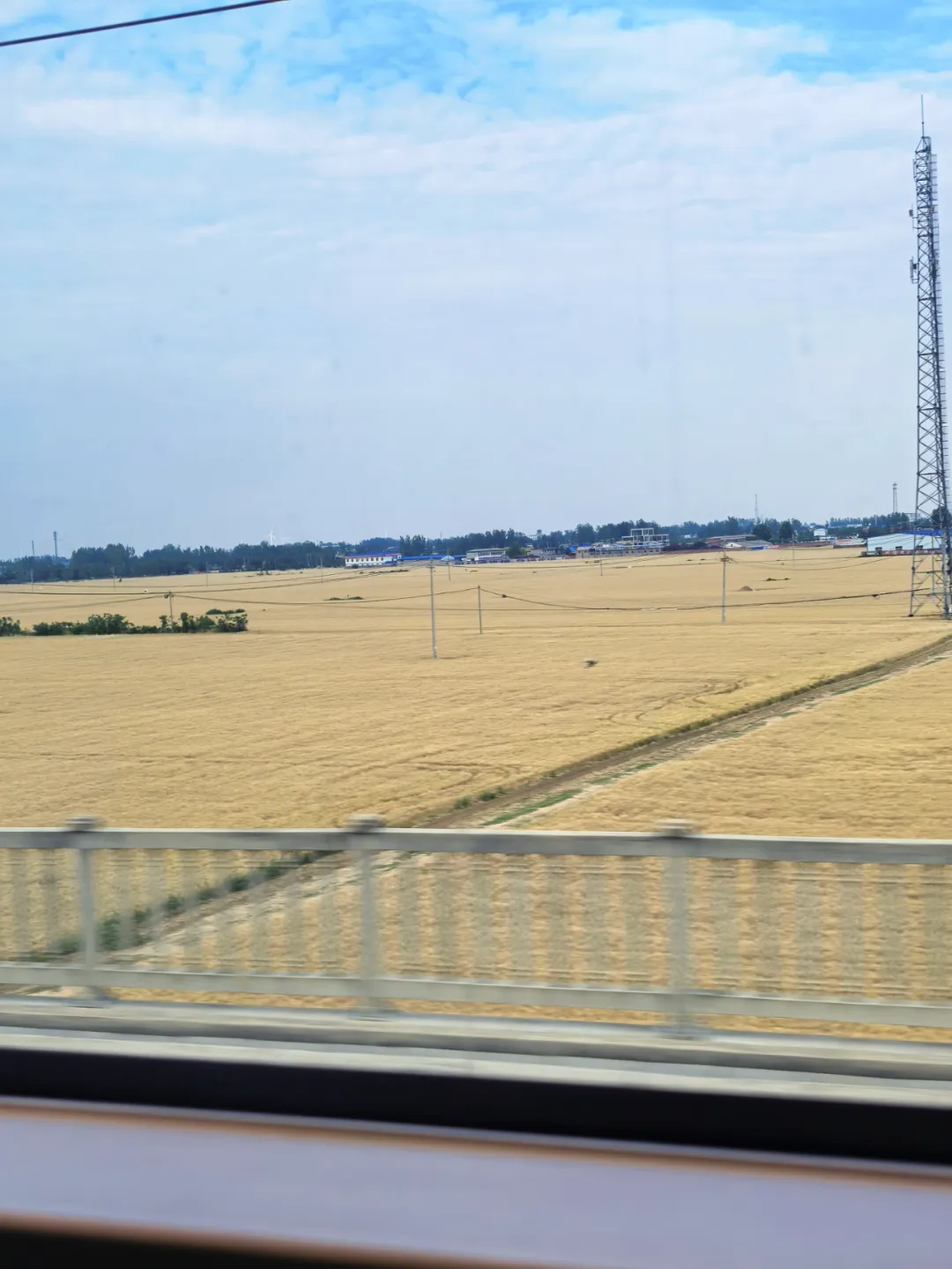 馋哭百万在外河南人,何止一碗胡辣汤