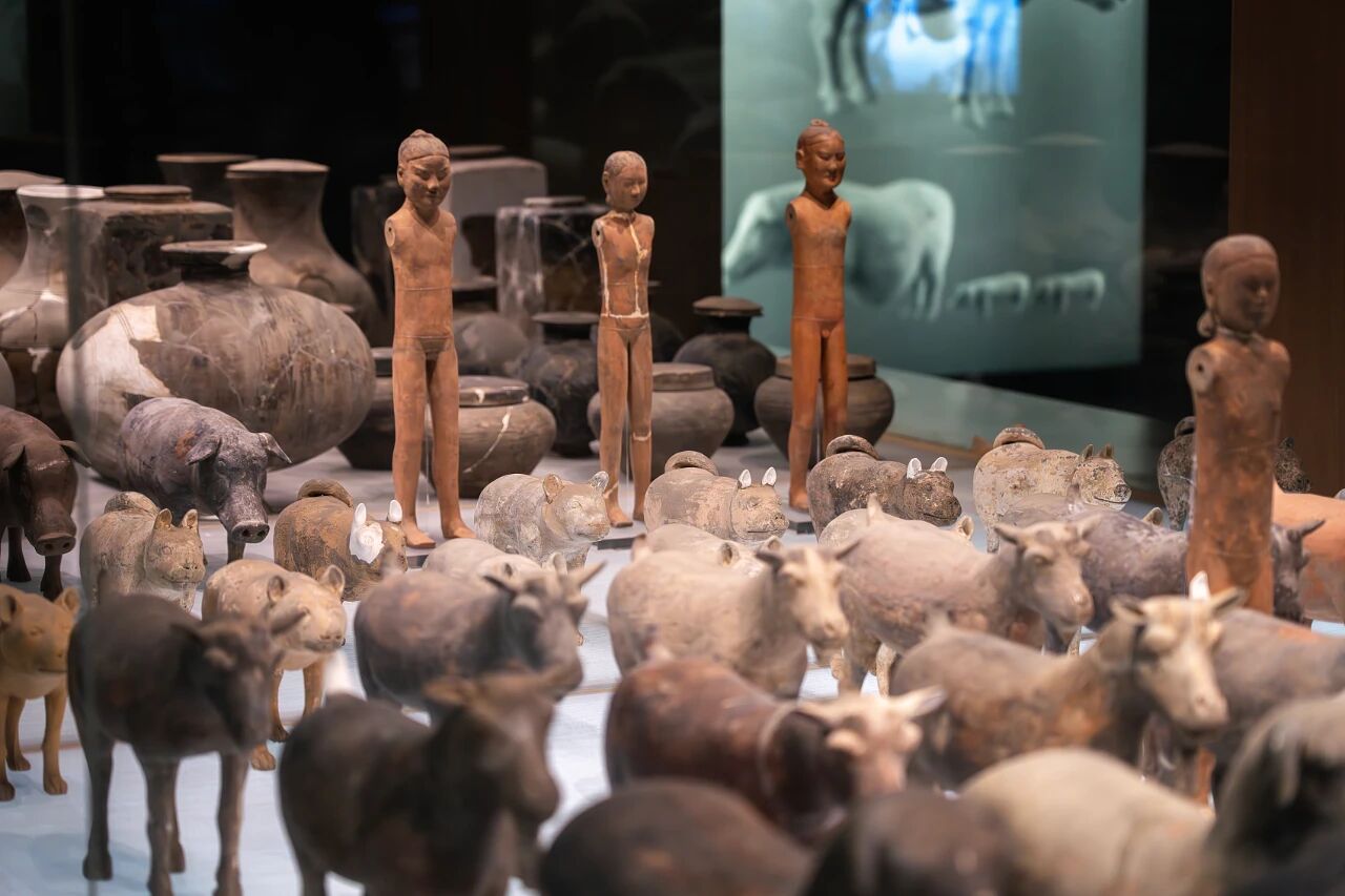 西北转机第一城,错过太可惜