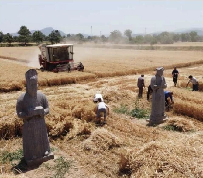 最接地气的省份,悄悄扯下旧标签