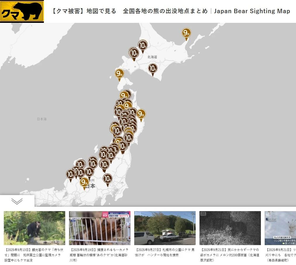 不敢去日本的游客,被现实版“熊出没”吓坏了
