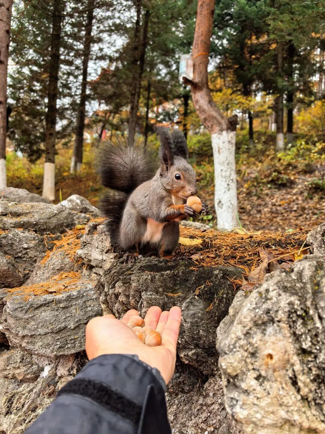 全网一致认定：最短的秋天，才是最贵的奢侈品