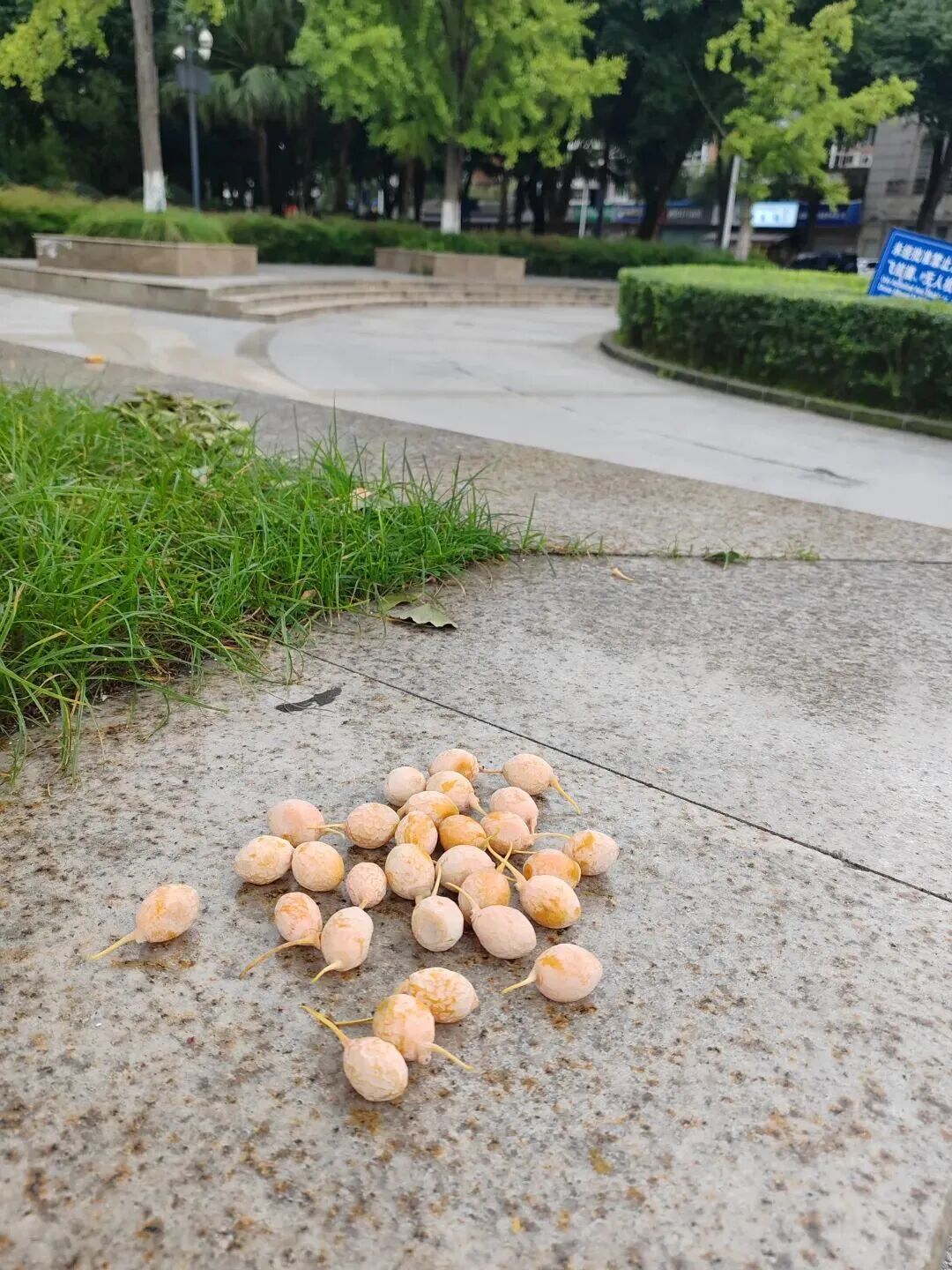 全网一致认定：最短的秋天，才是最贵的奢侈品