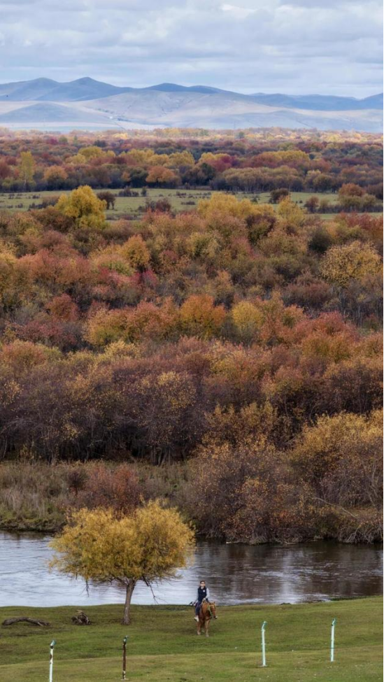全网一致认定：最短的秋天，才是最贵的奢侈品