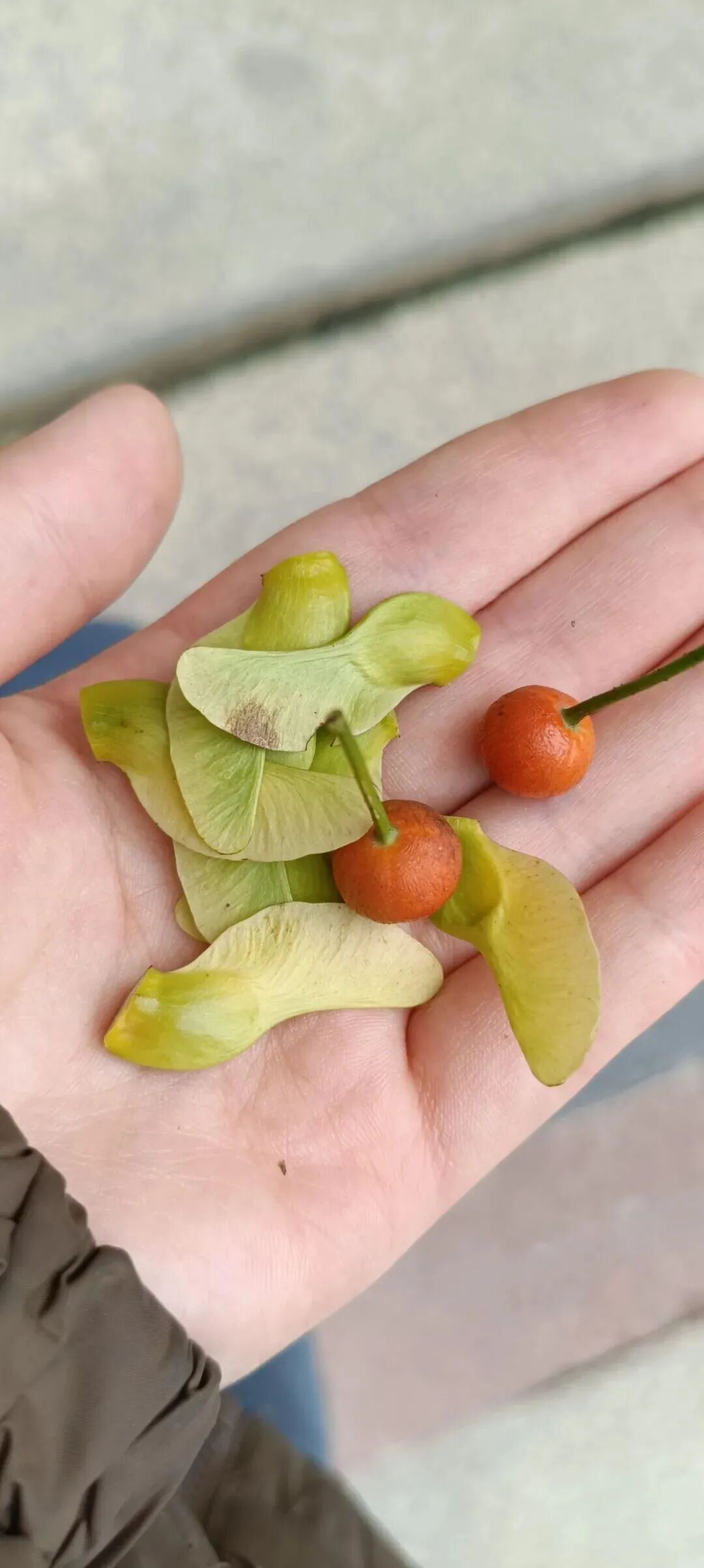 全网一致认定：最短的秋天，才是最贵的奢侈品