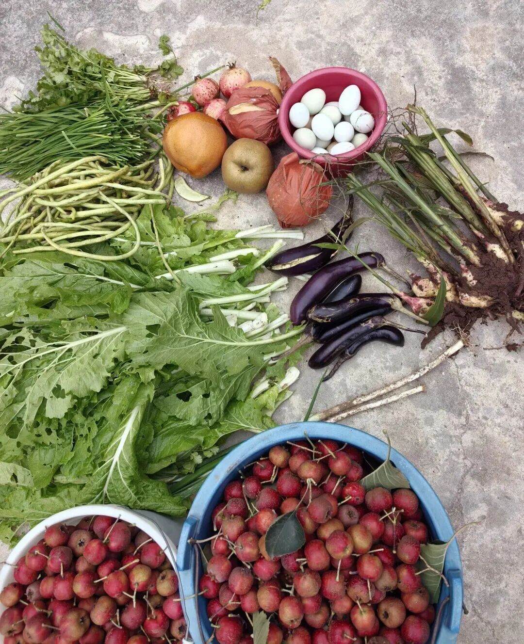 全网一致认定：最短的秋天，才是最贵的奢侈品