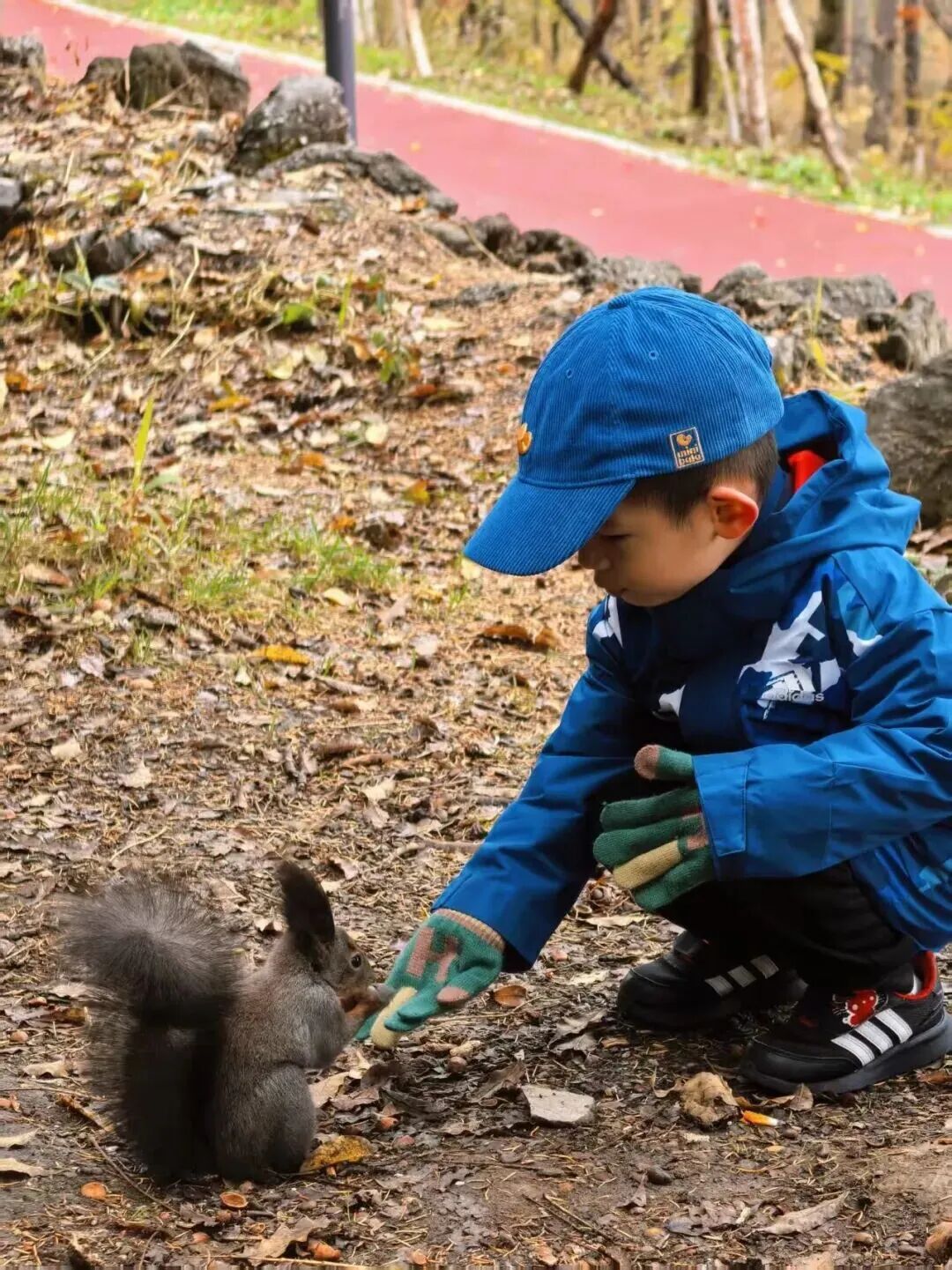 全网一致认定：最短的秋天，才是最贵的奢侈品