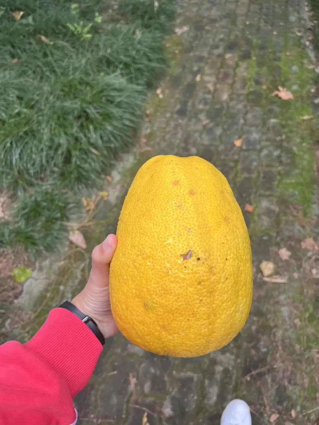 全网一致认定：最短的秋天，才是最贵的奢侈品