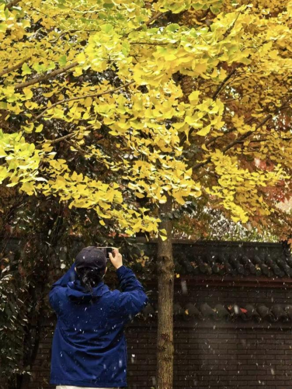 全网一致认定：最短的秋天，才是最贵的奢侈品