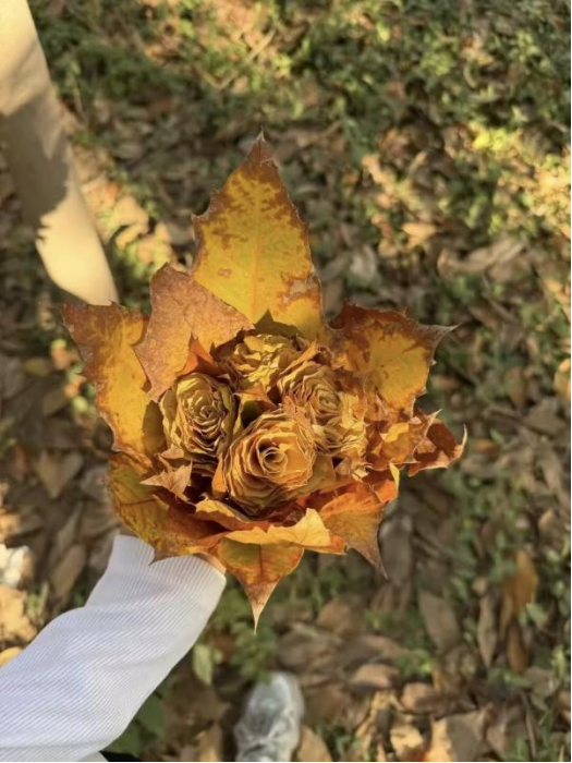 全网一致认定：最短的秋天，才是最贵的奢侈品