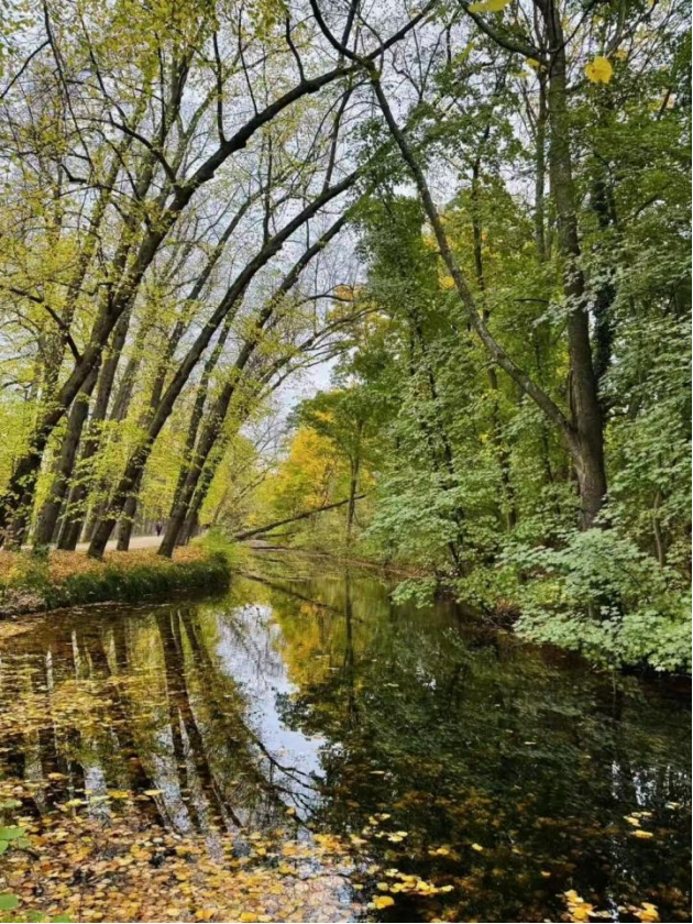 全网一致认定：最短的秋天，才是最贵的奢侈品