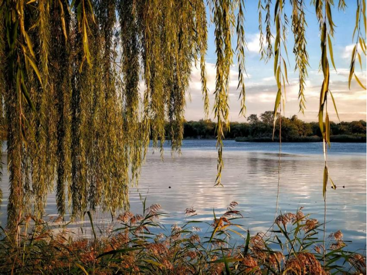 全网一致认定：最短的秋天，才是最贵的奢侈品